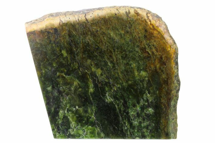 Polished Canadian Jade (Nephrite) Slab - British Colombia #137294